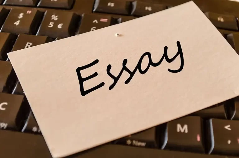 Professional Essay Writing Guide for Students
